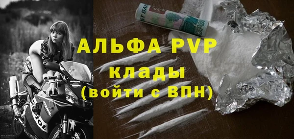 ГАЛЛЮЦИНОГЕННЫЕ ГРИБЫ Бородино