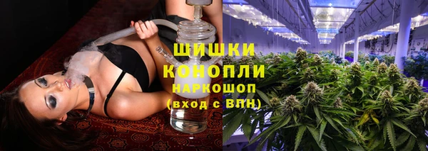 ГАЛЛЮЦИНОГЕННЫЕ ГРИБЫ Бородино